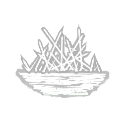 Spirit Fury perk icon